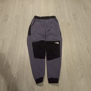 The North Face Denali Pants